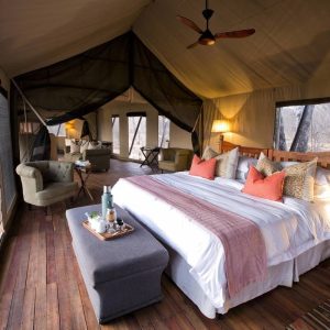 Verny's Camp_3