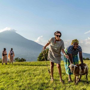 Virunga Lodge