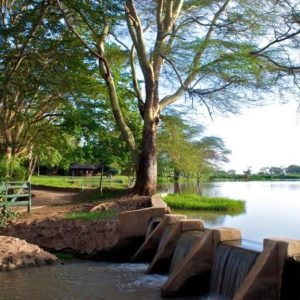 Voyager Ziwani Camp, Lage am Damm
