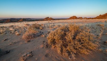 Das Beste von Namibia, einmalige Wüste