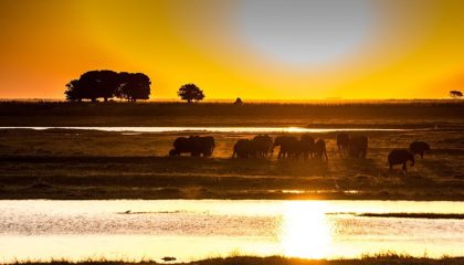 Overlandsafari in Lodges von Windhoek nach Victoria Falls, Sonnenuntergang am Chobe