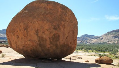 Wüste und Kalahari_24
