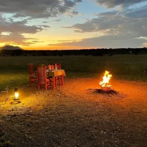 Buschdinner