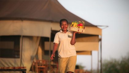 Kleingruppensafari in Tansania, Hippo Trails Camp, Serengeti
